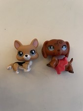 Dachshund 640 corgi for sale  Seattle