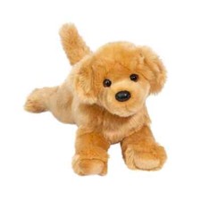 Golden retriever bella gebraucht kaufen  Saarbrücken