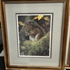 Carl brenders acrobat for sale  West River