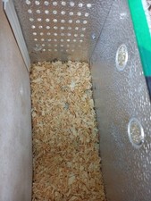 Aluminium pigeon basket for sale  NOTTINGHAM