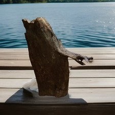 Aquarium decoration driftwood for sale  Weatherford