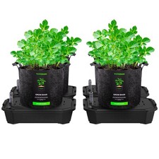 4er pack selbstbewässerndes gebraucht kaufen  Aspisheim, Grolsheim