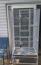 Big bird ferrit for sale  Belle Vernon