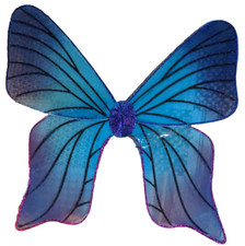 Blue fairy wings for sale  Janesville