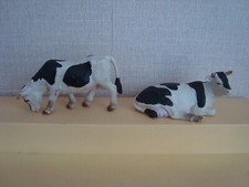 elc animals for sale elc animals for sale STOCKPORT