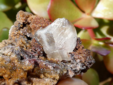 Large cerusite cerussite d'occasion  Expédié en Belgium