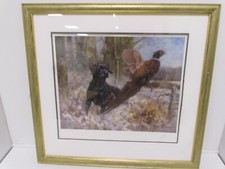 John trickett dog for sale  MILTON KEYNES