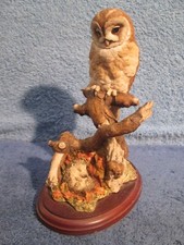 Vintage barn owl for sale  TAUNTON