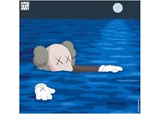 Kaws brooklyn museum for sale  Troy