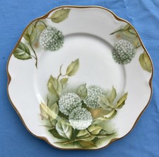 Hand painted rosenthal for sale  Johnston