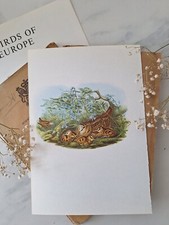 Woodcock vintage bird for sale  DERBY