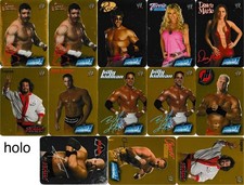 Wwe lamincards 2004 usato  Noci