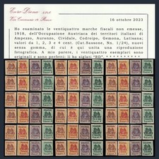 1918 occupazione austriaca usato  Courmayeur