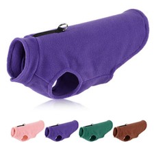 Animal compagnie chien d'occasion  France