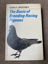Basis breeding racing for sale  CIRENCESTER