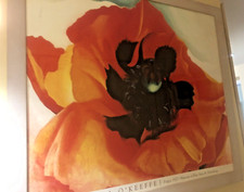 Georgia keefe poppy for sale  New York