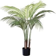 Maia shop palm for sale  Lincoln