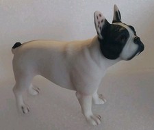Leonardo collection dog for sale  SCUNTHORPE