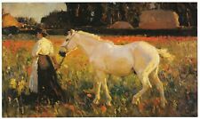 Poppyfield sir alfred for sale  BARNSLEY