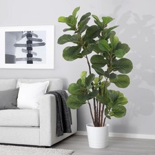 Artificial fiddle leaf for sale  Brentwood