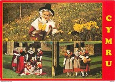 Folklore costumes royaume d'occasion  Fruges