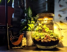 Diy round bowl for sale  SELBY