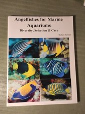 Fenner angelfishes for usato  Roma
