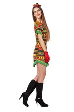 Mexikanerin kleid kostüm gebraucht kaufen  Birkenfeld