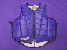 Racesafe purple child for sale  ALFORD