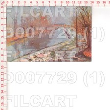 D7729 illustratore campestrini usato  Como
