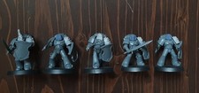 Horus heresy sons gebraucht kaufen  Hohnstorf