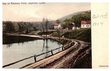 Rimmon pond birdseye for sale  Harbor Beach