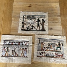 Genuine egyptian papyrus for sale  SKEGNESS