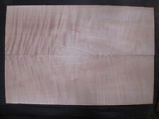 Aaa flamed maple gebraucht kaufen  Dresden