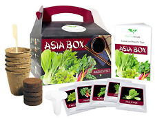 Asia box anzuchtset gebraucht kaufen  Deutschland