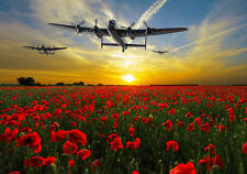 Avro lancasters sunset for sale  SPALDING