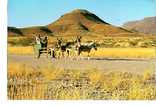 Cartolina namibia damaraland usato  Fonte Nuova