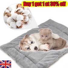 Pet dog cat for sale  GAINSBOROUGH