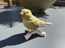 Goebel greenfinch 38026 for sale  ASHBY-DE-LA-ZOUCH