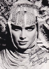 Brooke Shields in "Sahara" - großes Pressefoto - original signiert comprar usado  Enviando para Brazil