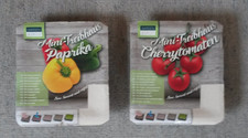 Mini treibhaus paprika gebraucht kaufen  Haunetal