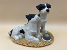 Jack russells regency for sale  BALLYMENA