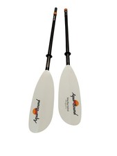 Aqua bound sting for sale  Lecanto