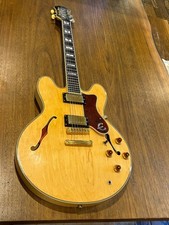 semi hollow guitars for sale  Woodland Hills