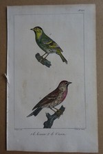 Oiseaux 1824 color d'occasion  Expédié en Belgium