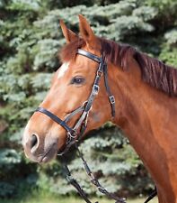 Bitless bridle bride d'occasion  Expédié en France