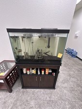 Gallon glass fish for sale  San Antonio