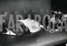 Vintage germania quando usato Vintage germania quando usato  Roma