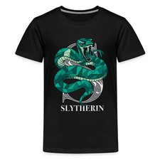 Harry potter slytherin gebraucht kaufen  Leipzig
