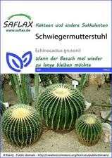 Saflax 19421 kaktus gebraucht kaufen  Keltern